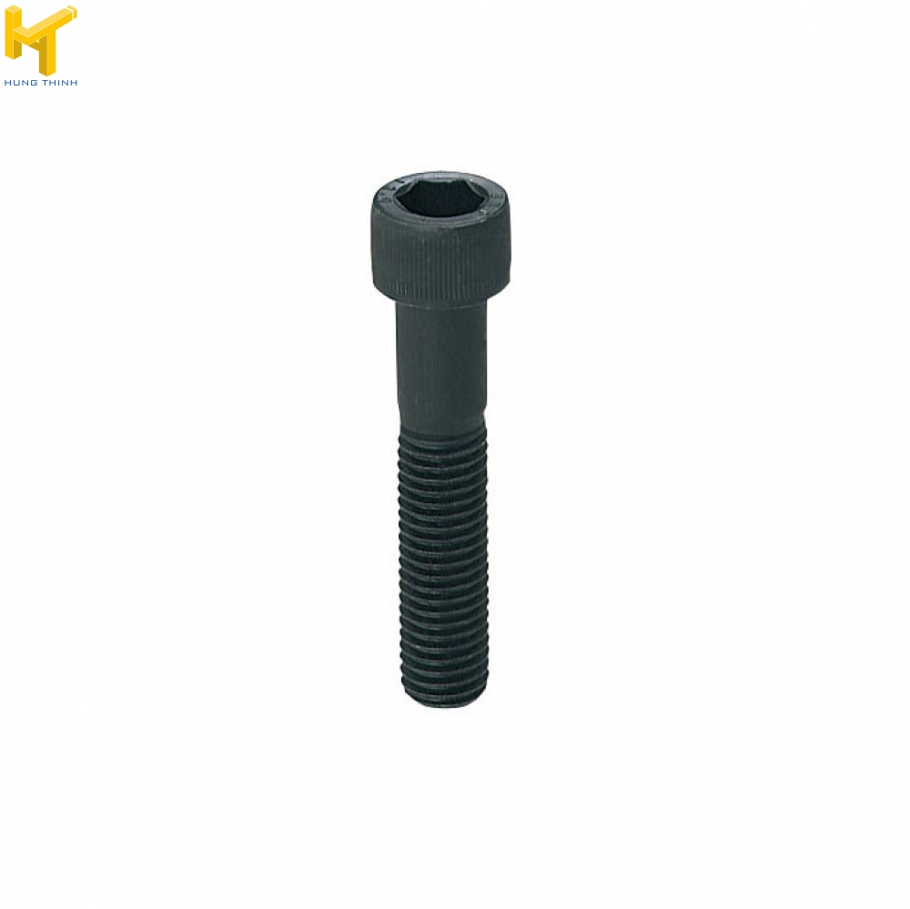 Bulong lục giác CB [HEXAGON SOCKET HEAD CAP SCREWS]